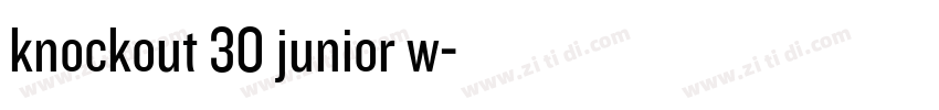 knockout 30 junior w字体转换